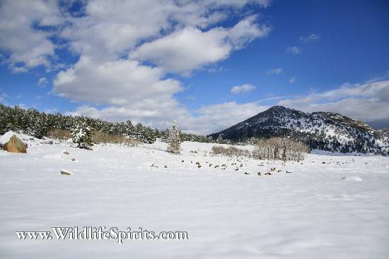 Click Picture to send as an  E-PostCard 58k 550x367